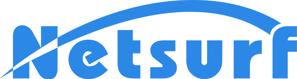 netsurf-2018-web